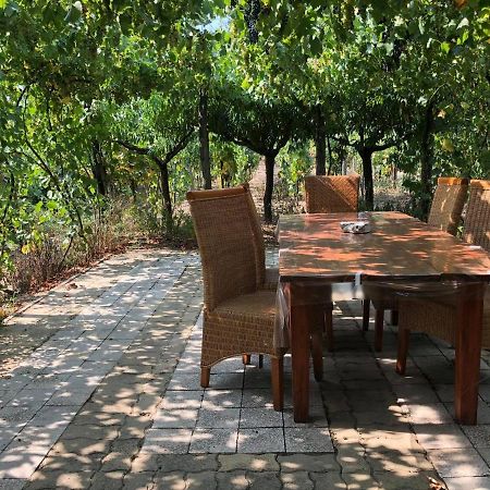 Szendergo - Apartman Hajos Pincefalu Exteriér fotografie