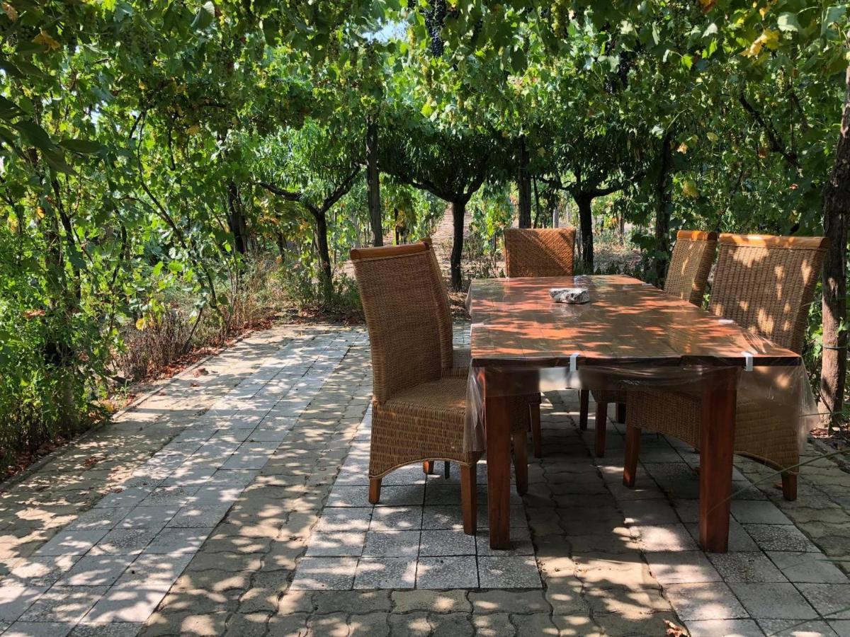 Szendergo - Apartman Hajos Pincefalu Exteriér fotografie
